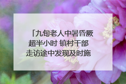 九旬老人中暑昏厥超半小时 镇村干部走访途中发现及时施救｜看见正能量
