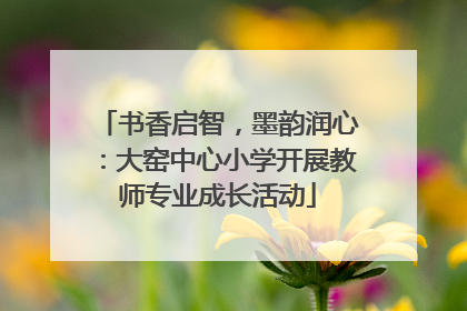 书香启智，墨韵润心：大窑中心小学开展教师专业成长活动