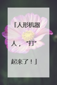 人形机器人，“打”起来了！