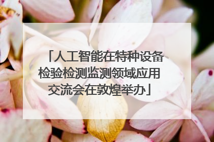 人工智能在特种设备检验检测监测领域应用交流会在敦煌举办