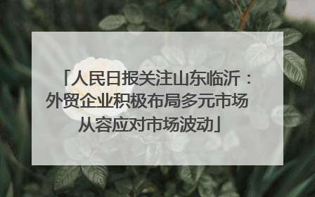 人民日报关注山东临沂：外贸企业积极布局多元市场 从容应对市场波动