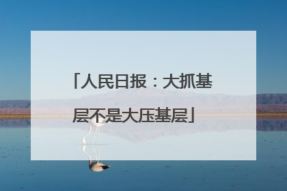 人民日报：大抓基层不是大压基层
