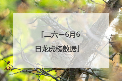 二六三6月6日龙虎榜数据