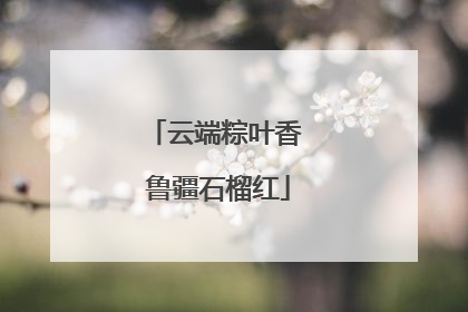 云端粽叶香 鲁疆石榴红