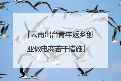 云南出台青年返乡创业做电商若干措施