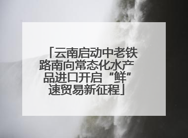 云南启动中老铁路南向常态化水产品进口开启“鲜”速贸易新征程