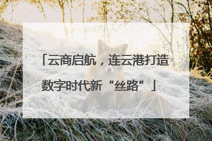 云商启航，连云港打造数字时代新“丝路”