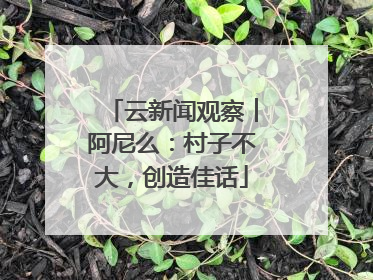 云新闻观察︱阿尼么：村子不大，创造佳话