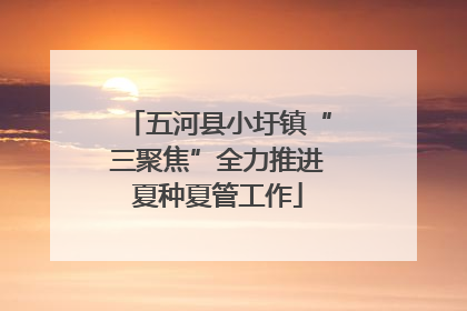五河县小圩镇“三聚焦”全力推进夏种夏管工作