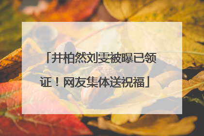 井柏然刘雯被曝已领证！网友集体送祝福