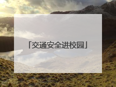 交通安全进校园