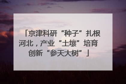 京津科研“种子”扎根河北，产业“土壤”培育创新“参天大树”