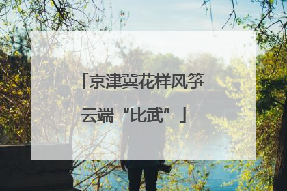 京津冀花样风筝云端“比武”