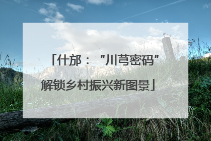 什邡：“川芎密码”解锁乡村振兴新图景