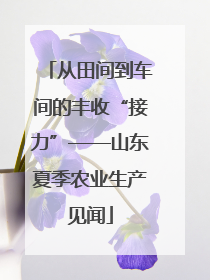 从田间到车间的丰收“接力”——山东夏季农业生产见闻