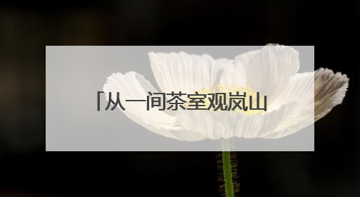 从一间茶室观岚山“三茶统筹”之道