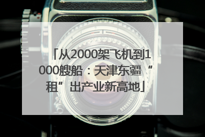 从2000架飞机到1000艘船：天津东疆“租”出产业新高地