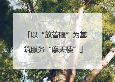 以“放管服”为基筑服务“摩天楼”