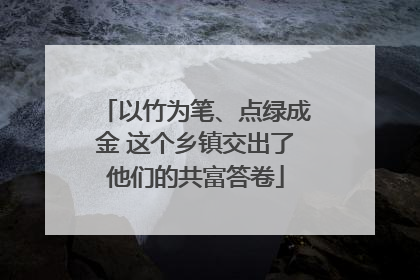 以竹为笔、点绿成金 这个乡镇交出了他们的共富答卷