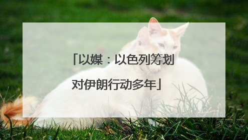 以媒：以色列筹划对伊朗行动多年
