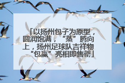 以扬州包子为原型，圆润饱满，“蒸”腾向上，扬州足球队吉祥物“包赢”亮相即售罄
