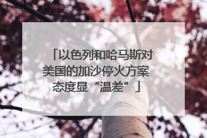 以色列和哈马斯对美国的加沙停火方案态度显“温差”