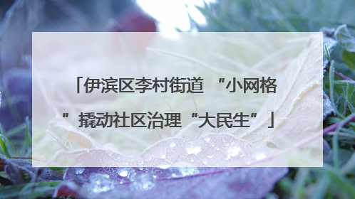 伊滨区李村街道 “小网格”撬动社区治理“大民生”