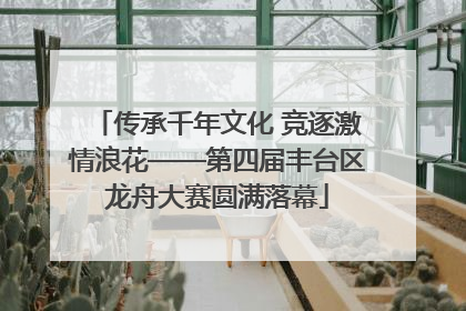 传承千年文化 竞逐激情浪花——第四届丰台区龙舟大赛圆满落幕