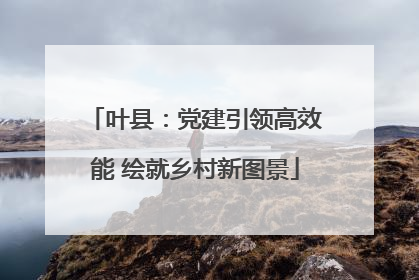 叶县：党建引领高效能 绘就乡村新图景