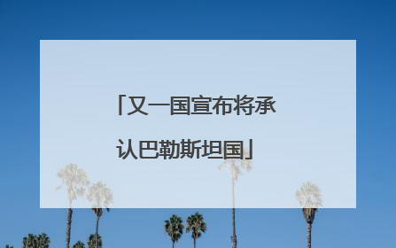 又一国宣布将承认巴勒斯坦国