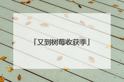 又到树莓收获季