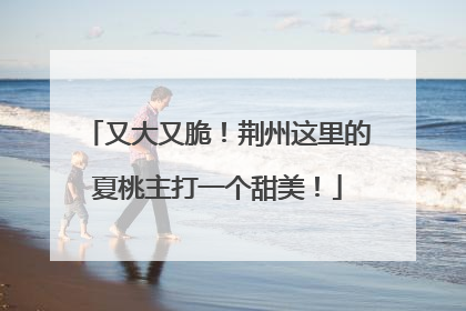 又大又脆！荆州这里的夏桃主打一个甜美！