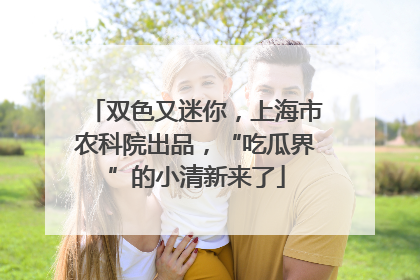 双色又迷你，上海市农科院出品，“吃瓜界”的小清新来了