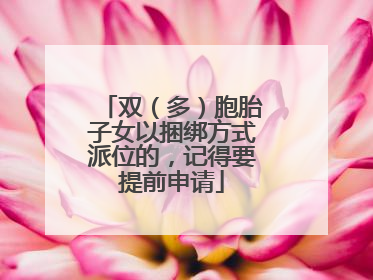双（多）胞胎子女以捆绑方式派位的，记得要提前申请