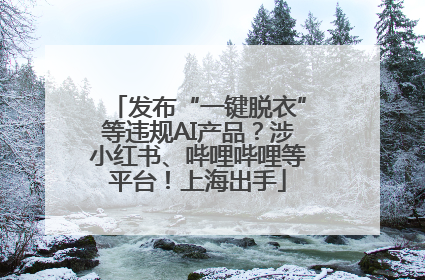 发布“一键脱衣”等违规AI产品？涉小红书、哔哩哔哩等平台！上海出手