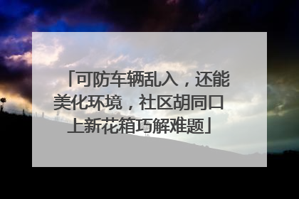 可防车辆乱入，还能美化环境，社区胡同口上新花箱巧解难题