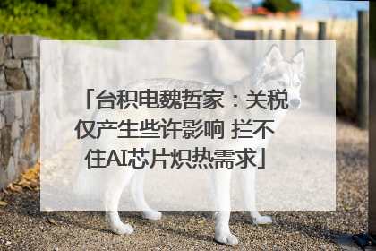 台积电魏哲家：关税仅产生些许影响 拦不住AI芯片炽热需求