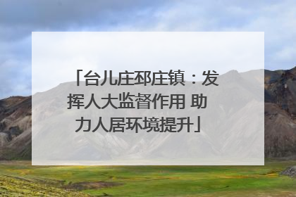 台儿庄邳庄镇：发挥人大监督作用 助力人居环境提升