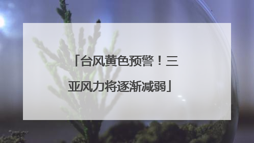 台风黄色预警！三亚风力将逐渐减弱