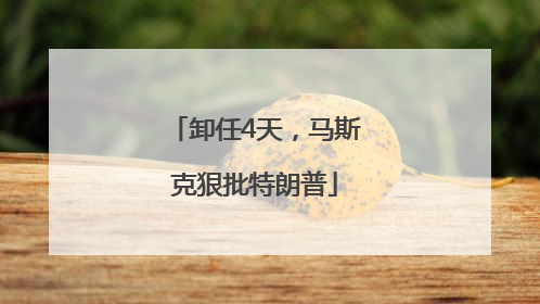 卸任4天，马斯克狠批特朗普