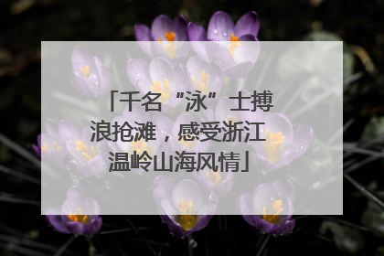千名“泳”士搏浪抢滩，感受浙江温岭山海风情