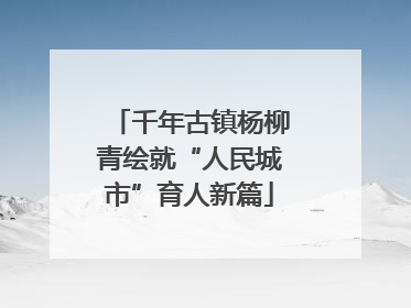 千年古镇杨柳青绘就“人民城市”育人新篇