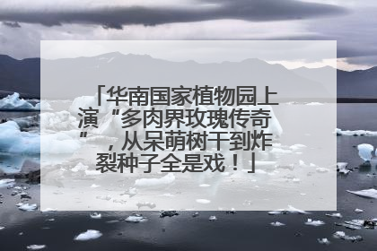 华南国家植物园上演“多肉界玫瑰传奇”，从呆萌树干到炸裂种子全是戏！