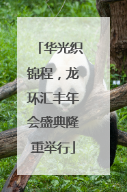 华光织锦程，龙环汇丰年会盛典隆重举行