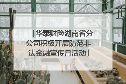 华泰财险湖南省分公司积极开展防范非法金融宣传月活动