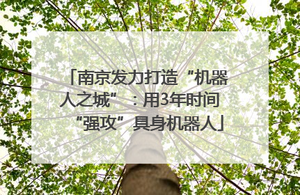南京发力打造“机器人之城”：用3年时间“强攻”具身机器人