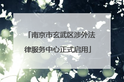 南京市玄武区涉外法律服务中心正式启用
