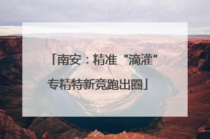 南安：精准“滴灌”专精特新竞跑出圈