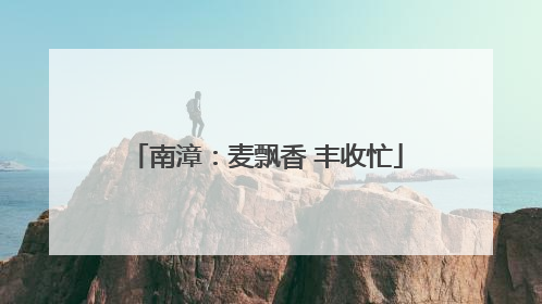 南漳：麦飘香 丰收忙