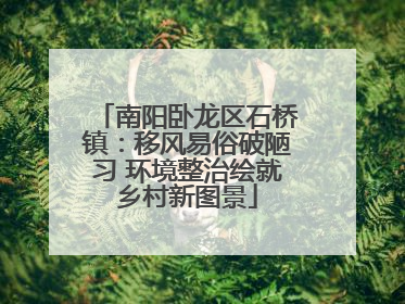 南阳卧龙区石桥镇：移风易俗破陋习 环境整治绘就乡村新图景